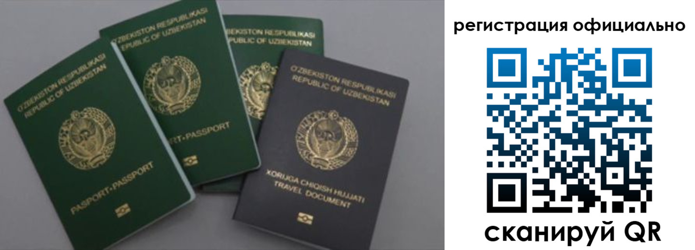 временная регистрация адрес в Апатитах